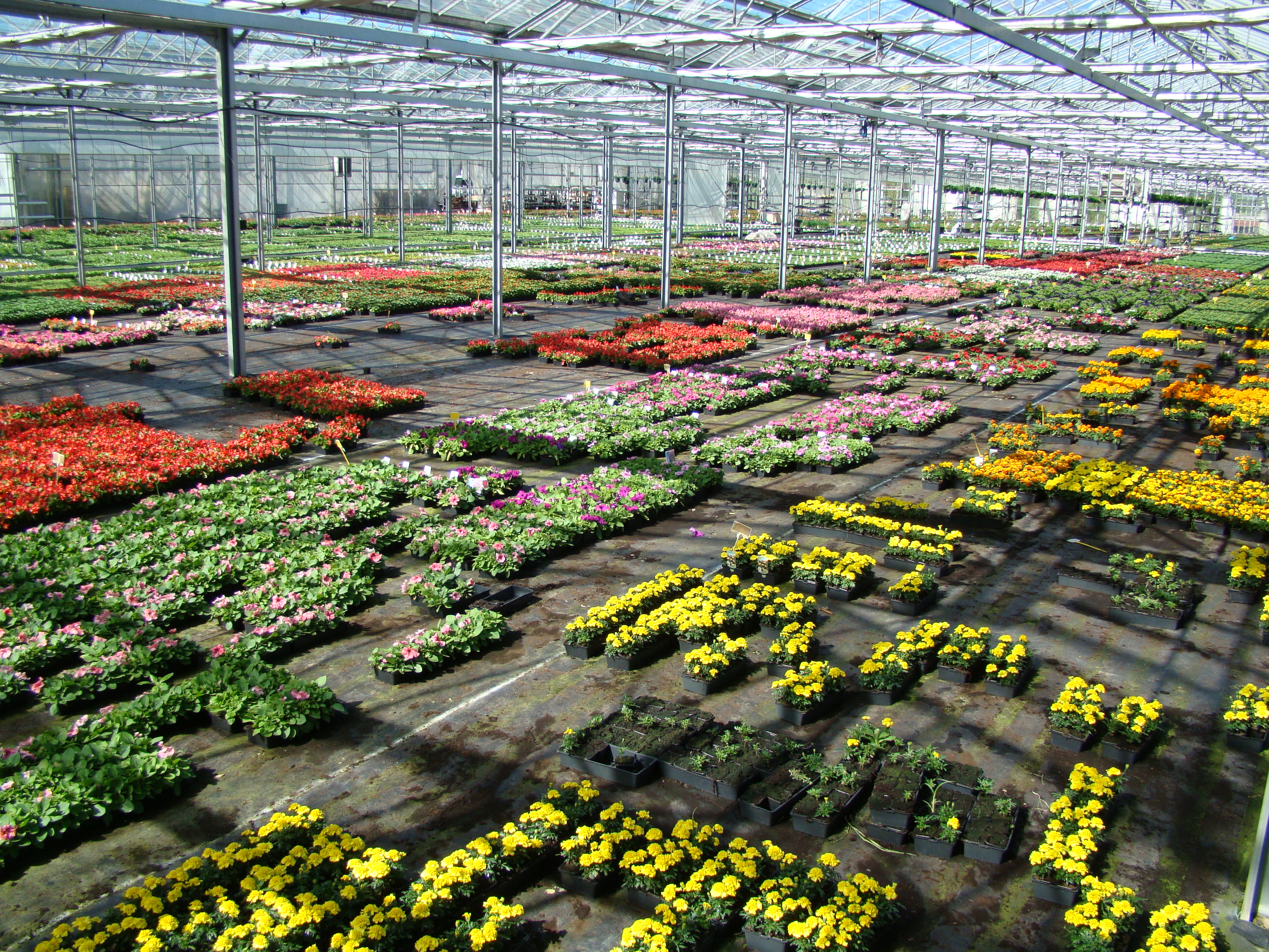 horticulture-groupement-employeurs-nantes
